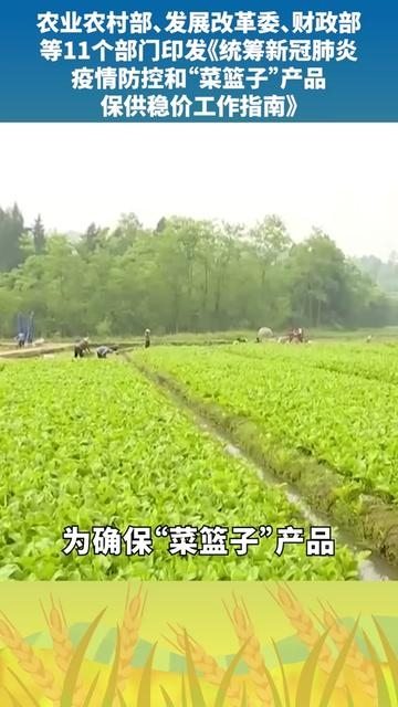 農(nóng)業(yè)農(nóng)村部 發(fā)展改革委 財(cái)政部等11個(gè)部門(mén)印發(fā)統(tǒng)籌新冠肺炎疫情防控和 菜籃子 產(chǎn)品保供穩(wěn)價(jià)工作指南