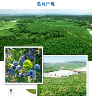 鄂州梁子湖白龍有機(jī)農(nóng)業(yè)科技開(kāi)發(fā)企業(yè)簡(jiǎn)介