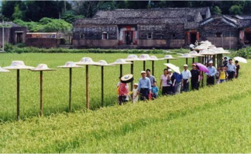 農(nóng)業(yè)為國之根本 洞悉未來農(nóng)業(yè)發(fā)展的五大“小趨勢(shì)”